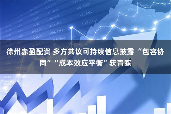 徐州赤盈配资 多方共议可持续信息披露 “包容协同”“成本效应平衡”获青睐