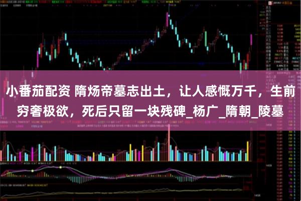 小番茄配资 隋炀帝墓志出土，让人感慨万千，生前穷奢极欲，死后只留一块残碑_杨广_隋朝_陵墓