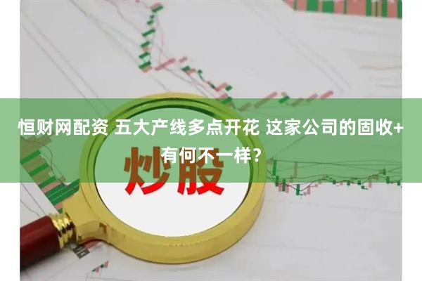 恒财网配资 五大产线多点开花 这家公司的固收+有何不一样?
