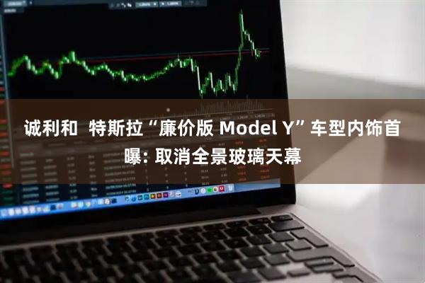 诚利和  特斯拉“廉价版 Model Y”车型内饰首曝: 取消全景玻璃天幕