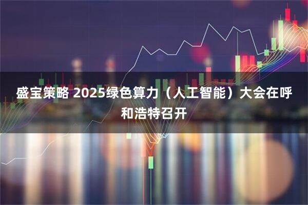 盛宝策略 2025绿色算力（人工智能）大会在呼和浩特召开