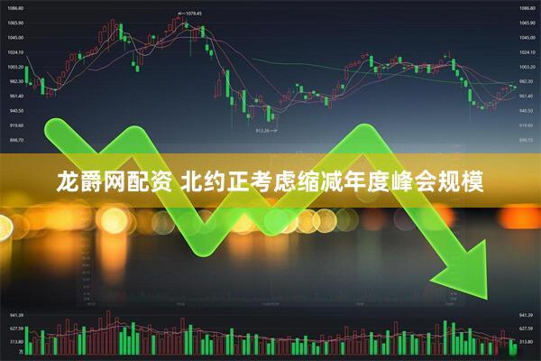 龙爵网配资 北约正考虑缩减年度峰会规模